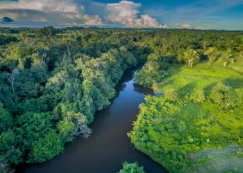 Amazônia: mudanças feitas pelo homem são muito mais velozes do que as naturais