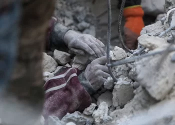 Chefe da OMS viaja à Síria após terremoto