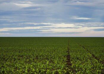 Brasil tem bônus do setor financeiro, agronegócio e da democracia, diz Trabuco