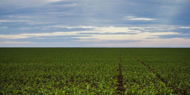 Brasil tem bônus do setor financeiro, agronegócio e da democracia, diz Trabuco