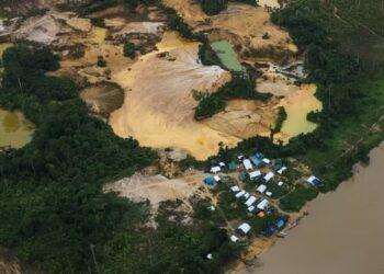 Mercúrio que polui território yanomami ataca órgãos e sistema nervoso