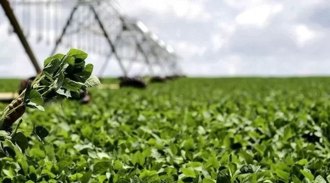 Governo deve lançar programa para produção de alimentos saudáveis em maio