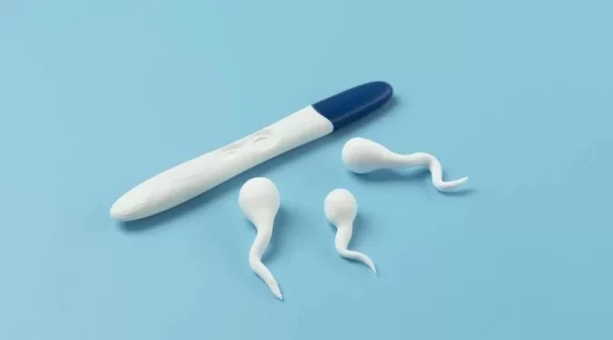 Engolir sêmen reduz chances de aborto espontâneo, diz estudo