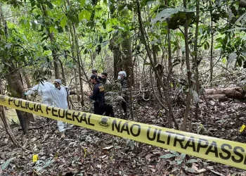 Amazônia tem taxa de assassinatos superior à média nacional