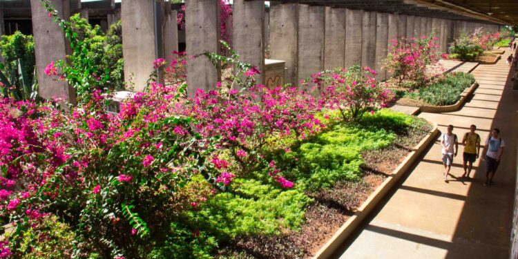 UnB terá processo seletivo exclusivo para pessoas com mais de 60 anos