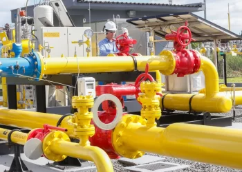 Compromisso SP Carbono Zero: SP projeta redução de emissões de gases de efeito estufa