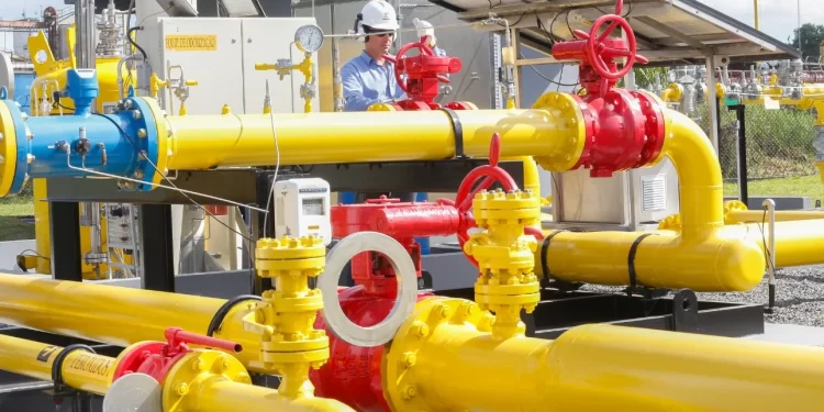 Compromisso SP Carbono Zero: SP projeta redução de emissões de gases de efeito estufa