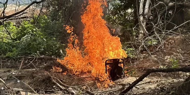 PF e Exército combatem extração ilegal de ouro em terra indígena