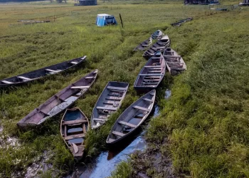 Auxílio a pescador atingido por seca no Norte começa a ser pago hoje