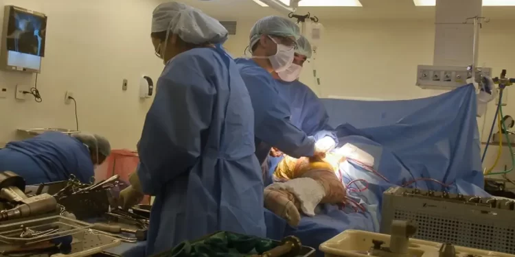 Instituições avaliam razões para troca de próteses de quadril e joelho