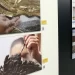 STF abre mostra nesta terça sobre reconstrução após 8 de Janeiro