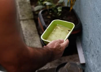 Dengue: DF vai aplicar multa em caso de descarte irregular de lixo