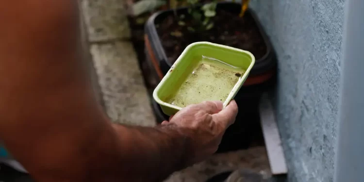 Dengue: DF vai aplicar multa em caso de descarte irregular de lixo