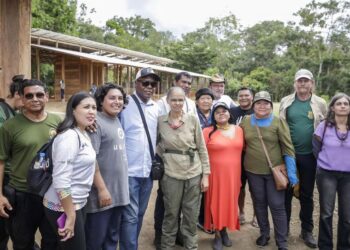 Guajajara: crise yanomami não será resolvida em curto espaço de tempo