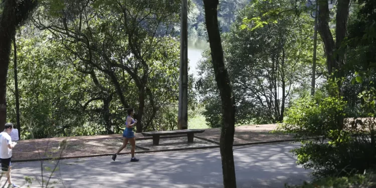 SP: sexta-feira é de sol entre nuvens e possibilidade de chuva