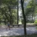 SP: sexta-feira é de sol entre nuvens e possibilidade de chuva
