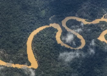 Garimpo desacelera, mas segue inviabilizando saúde do povo Yanomami