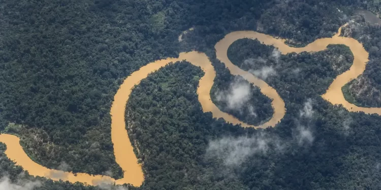 Garimpo desacelera, mas segue inviabilizando saúde do povo Yanomami
