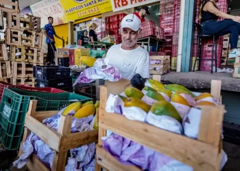 Conab registra queda de preços da alface em dezembro