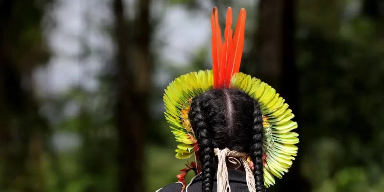 Após desastre da Vale, pataxós erguem nova aldeia e combatem grileiros