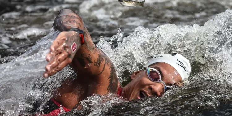 Natação: Ana Marcela é bronze nos 5km, o 1ª pódio do Brasil no Mundial