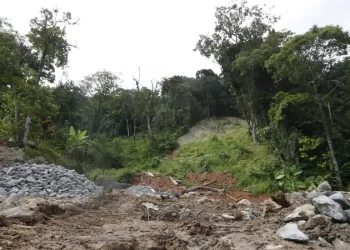 SP: chuva forte faz sirene de evacuação ser acionada em São Sebastião