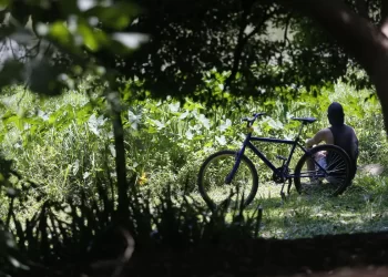 Outono chega com temperaturas acima da média em todas as regiões