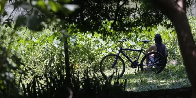 Outono chega com temperaturas acima da média em todas as regiões