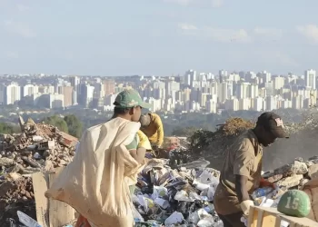 Governo vai cadastrar catadores para facilitar contratação