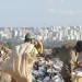 Governo vai cadastrar catadores para facilitar contratação