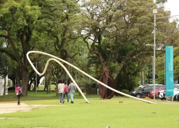 Juiz ordena que USP efetive matrícula de aluno barrado em cota racial