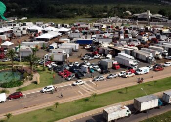 Ceasa de Porto Alegre retoma atividades a partir desta segunda
