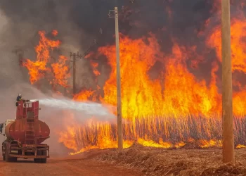Mais de 80% dos focos de calor em SP estão em áreas de agropecuária
