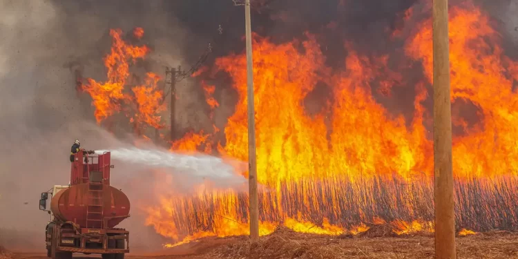 Mais de 80% dos focos de calor em SP estão em áreas de agropecuária