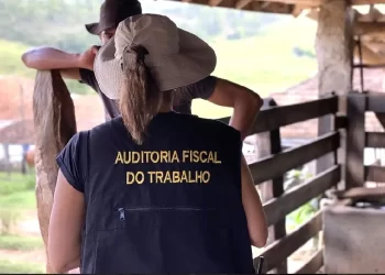 Operação federal resgata 593 pessoas submetidas a trabalho escravo