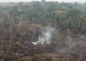Ministério das Cidades recebe sugestões sobre mudança climática