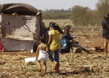Cimi alerta para atuação de forças de segurança no Mato Grosso do Sul