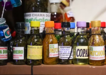 G20 discute dez princípios para desenvolvimento da bioeconomia