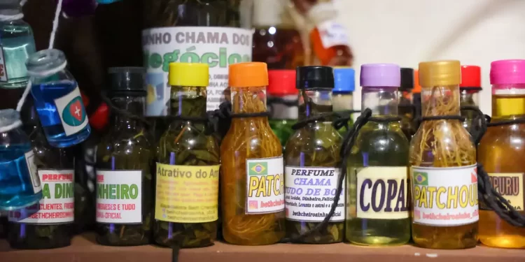 G20 discute dez princípios para desenvolvimento da bioeconomia