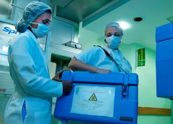 Doação de órgãos: conheça exigências e tire dúvidas sobre transplantes