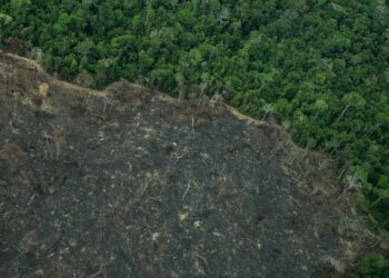 Terra Indígena Karipuna de Rondônia tem cenário de incêndio e seca