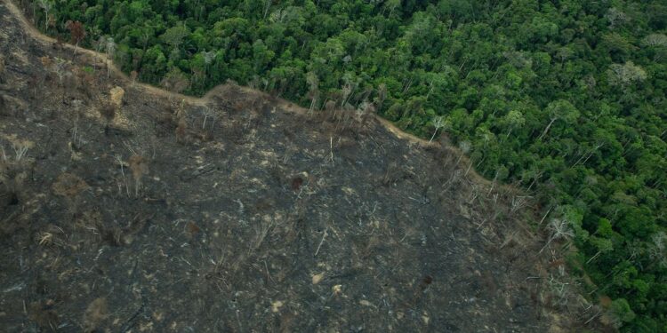 Terra Indígena Karipuna de Rondônia tem cenário de incêndio e seca