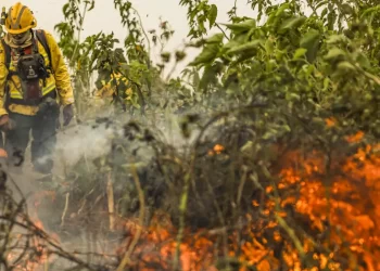 Brasil já registrou mais de 154 mil focos de calor este ano