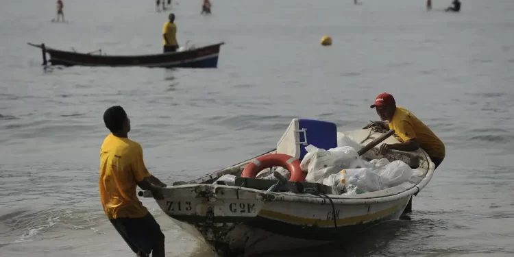 Mutirão de ativistas abre festival sobre oceanos em São Paulo