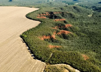 Cerrado: desmatamento emite 135 milhões de toneladas de CO2 desde 2023