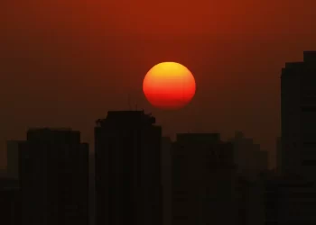 Mudanças climáticas agravam insegurança alimentar, diz pesquisadora