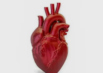 Doenças cardiovasculares matam 400 mil brasileiros por ano