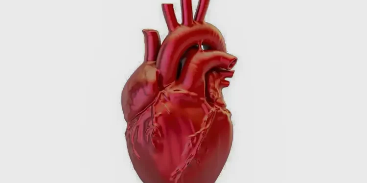 Doenças cardiovasculares matam 400 mil brasileiros por ano