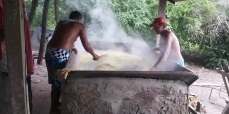 Conflito pela terra é causa de um terço das mortes de quilombolas