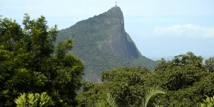 Parques do RJ são fechados à visitação por causa de incêndios